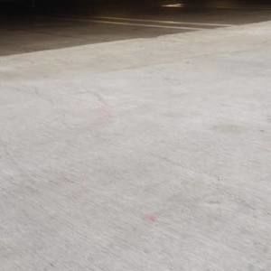 Meet your Posher, Cody